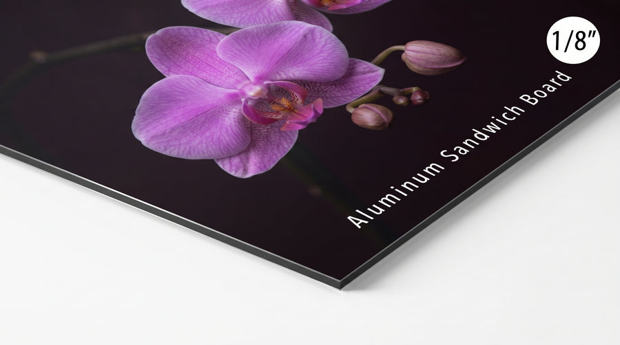 Aluminum Sandwich Board